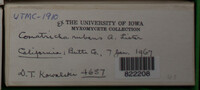 Image Associated With the Occurence